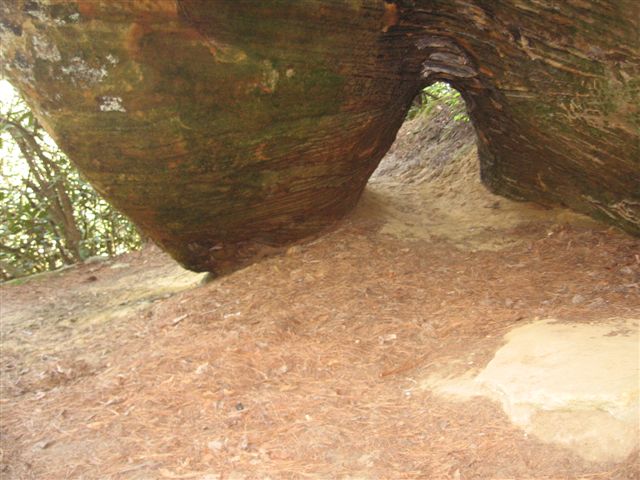 Turtle Back Arch Turtle Back Arch via Rock Bridge Loop (4.0 miles- unmarked) | to Red ...
